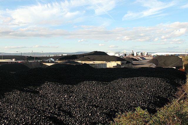 Coal homogenization