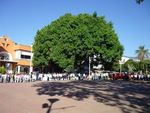 Coalcomán de Vázquez Pallares COALCOMN DE VZQUEZ PALLARES Coalcomn de Vzquez Pallares