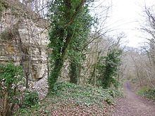 Coaley Wood Quarries httpsuploadwikimediaorgwikipediacommonsthu