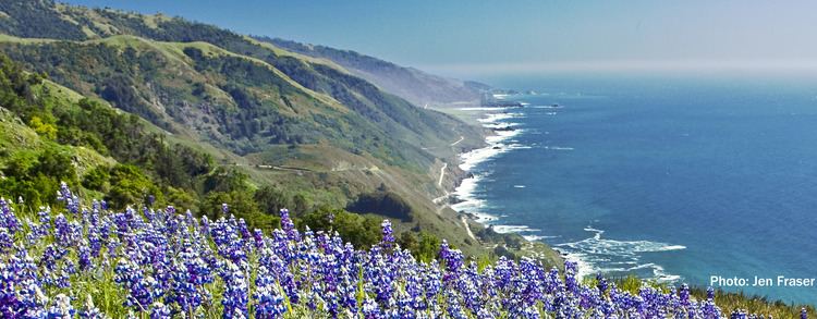Coastal California httpswwwcoastalcagovpublicedcoastweeksfra