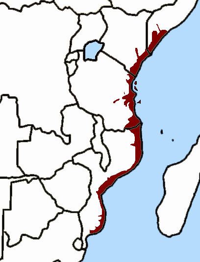 Coastal forests of eastern Africa FileMAP Eastern Africa coastal forestspng Wikimedia Commons