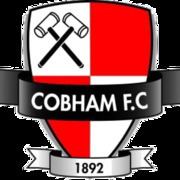 Cobham F.C. httpsuploadwikimediaorgwikipediaenthumb1
