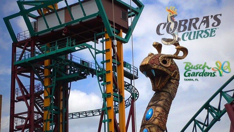 Cobra's Curse Cobra39s Curse Roller Coaster Construction Update and Elevator Lift