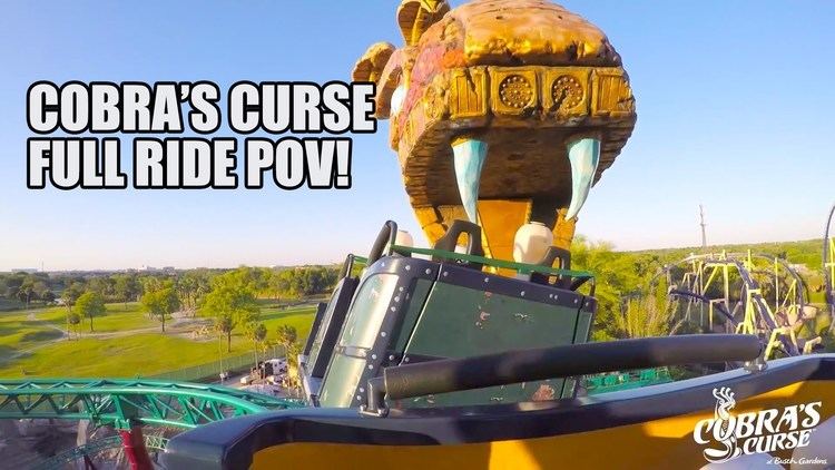 Cobra's Curse Cobra39s Curse Roller Coaster Full Ride POV Busch Gardens Tampa