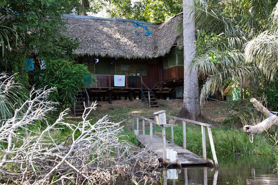 Cocha Cashu Biological Station Peru39s Cocha Cashu biological station changes management