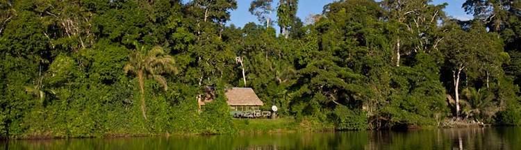 Cocha Cashu Biological Station What to Expect at Cocha Cashu Cocha Cashu Biological Station