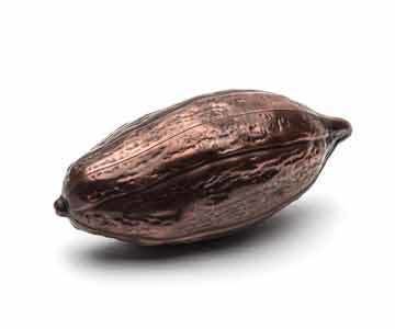 Cocoa bean From Cocoa Bean to Chocolate Pod Haigh39s Chocolates