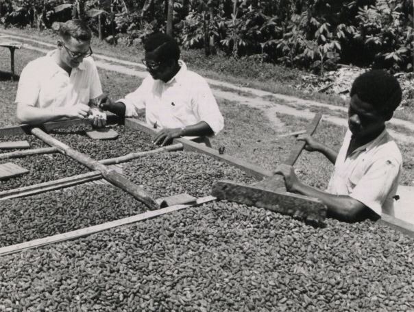 Cocoa production in Ghana
