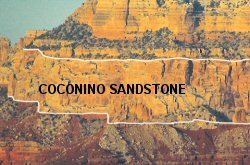Coconino Sandstone Coconino Sandstone Grand Canyon