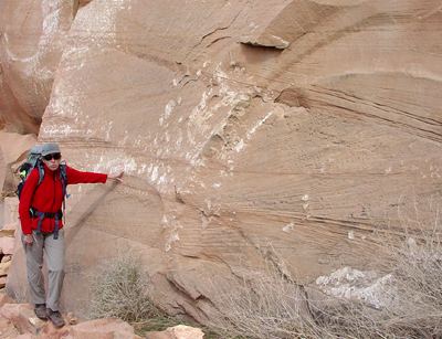 Coconino Sandstone Geology of National Parks
