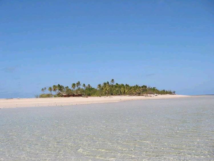 Coconut Island (Queensland) wwwseabreezecomauImgPhotosKitesurfing427820