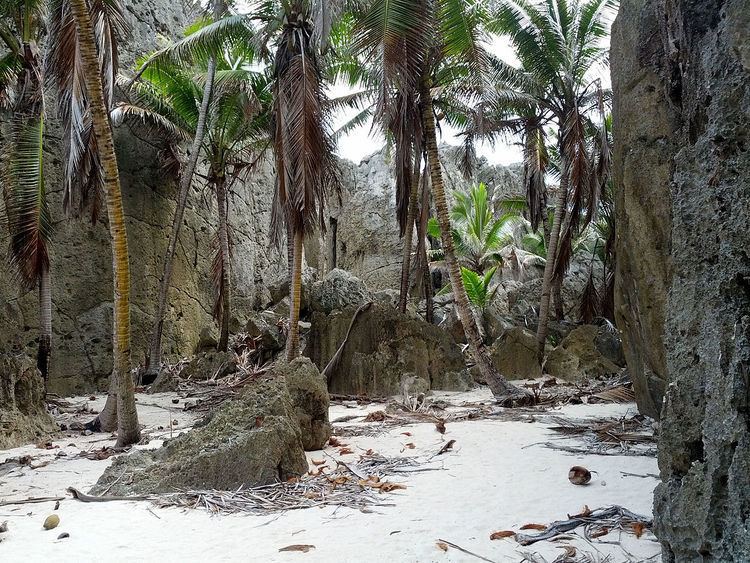 Coconut production in Niue