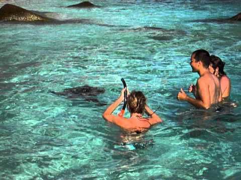 Cocos Island, Seychelles httpsiytimgcomviFXmbWpopJ0Ahqdefaultjpg