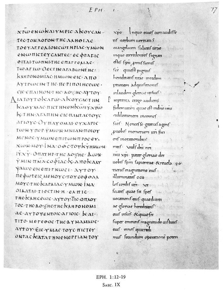 Codex Augiensis