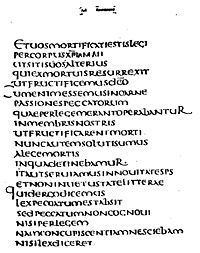 Codex Claromontanus uploadwikimediaorgwikipediacommonsthumb778