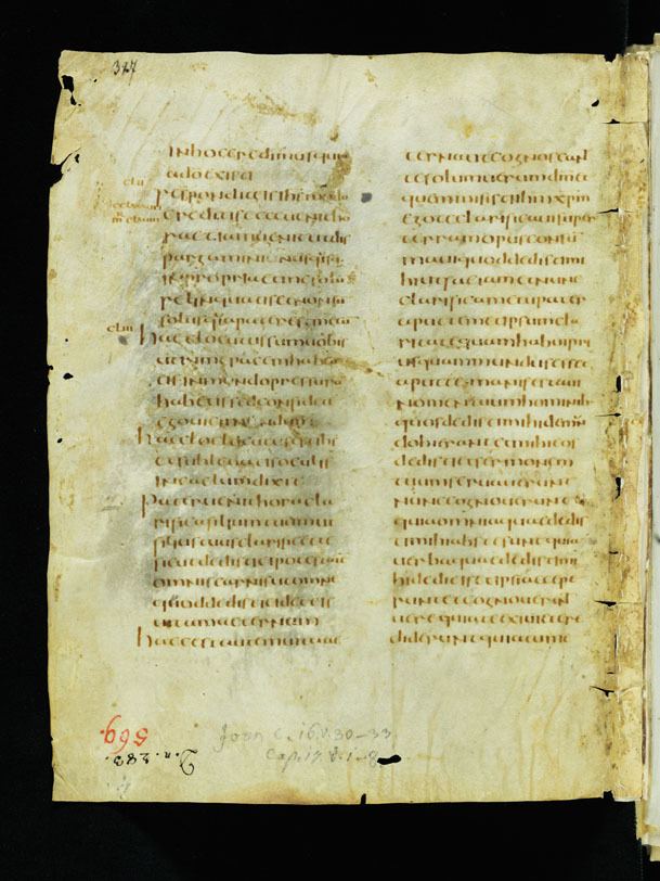 Codex Sangallensis 1395