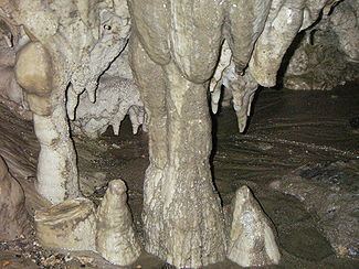 Cody Caves httpsuploadwikimediaorgwikipediacommonsthu