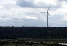 Coega Wind Farm httpsuploadwikimediaorgwikipediacommonsthu
