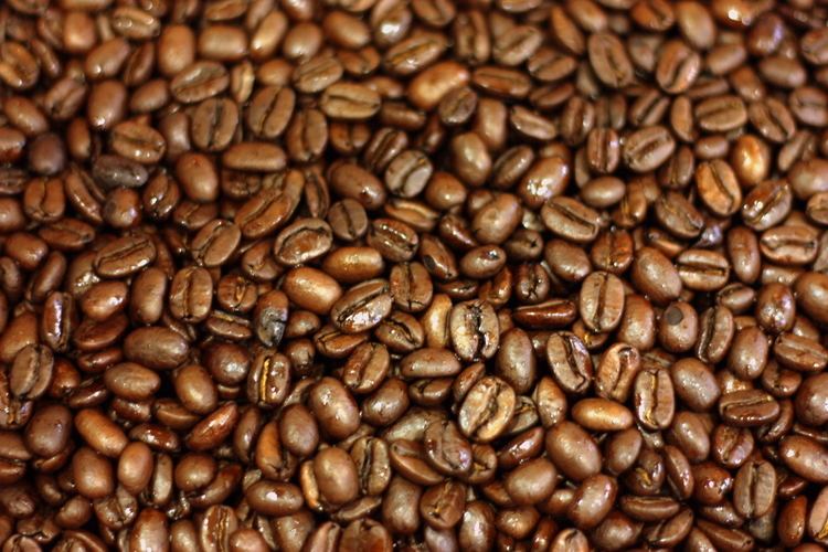 Coffee bean Sunlight hitting coffee beans in the hopper HomeBaristacom