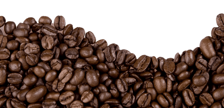 Coffee bean Coffee beans PNG images free download