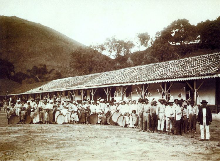 Coffee production in Brazil