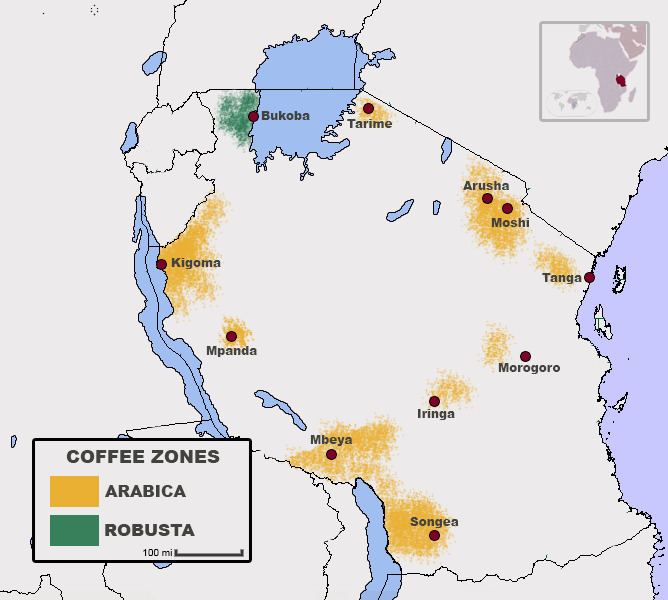 Coffee production in Tanzania