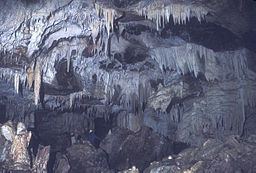 Coffee River Cave httpsuploadwikimediaorgwikipediaenthumb4