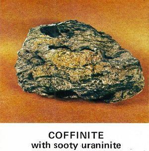 Coffinite Alpha Track Uranium Mineralization Concepts