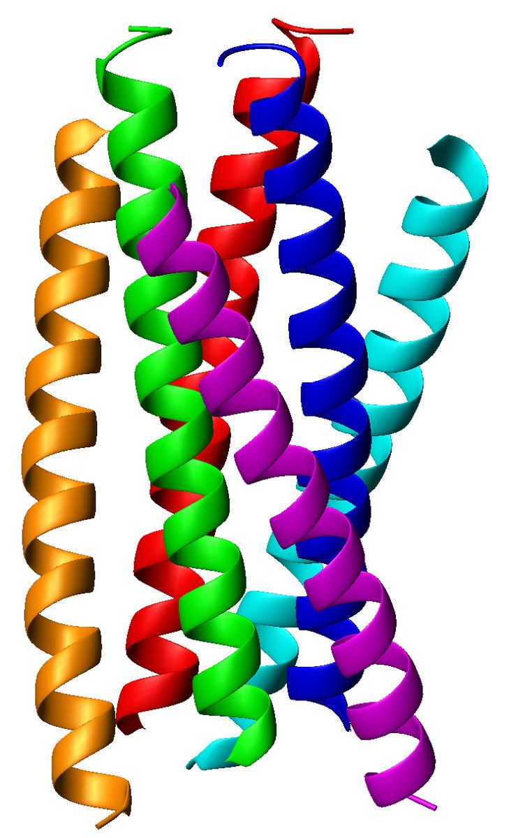 Coiled coil