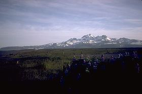 Cold Bay Volcano httpsuploadwikimediaorgwikipediacommonsthu