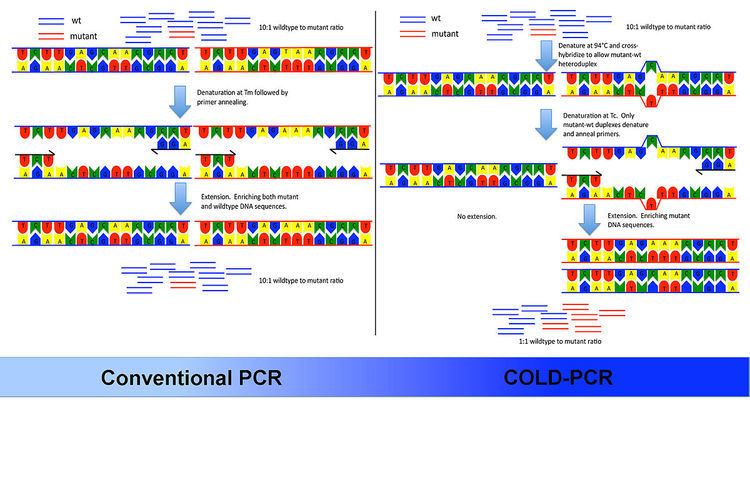 COLD-PCR