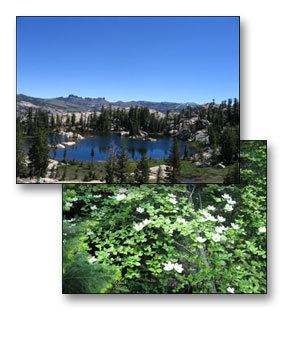 Cold Springs, Tuolumne County, California httpswwwcoldspringspoaorgwpcontentuploads