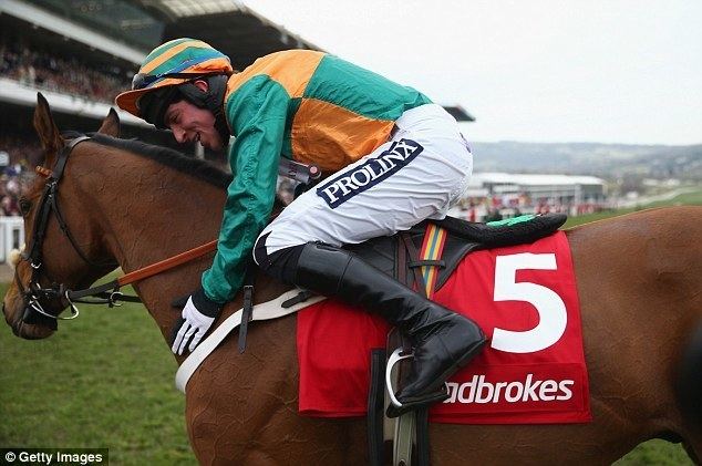 Cole Harden Cole Harden upsets favourite Saphir Du Rheu to win World Hurdle at