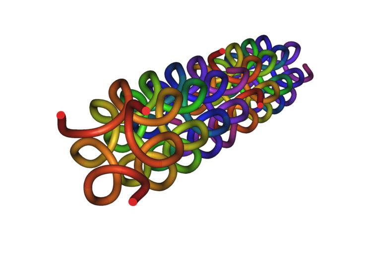 Collagen helix
