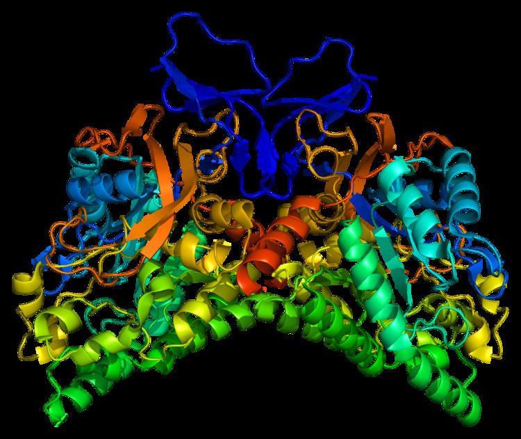Collapsin response mediator protein family