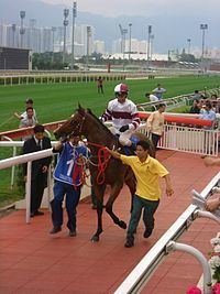 Collection (racehorse) httpsuploadwikimediaorgwikipediacommonsthu