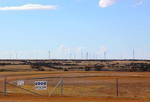 Collgar Wind Farm httpsuploadwikimediaorgwikipediacommonsthu