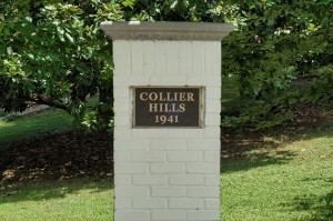 Collier Hills wwwcarsonmatthewscomwpcontentuploads201208