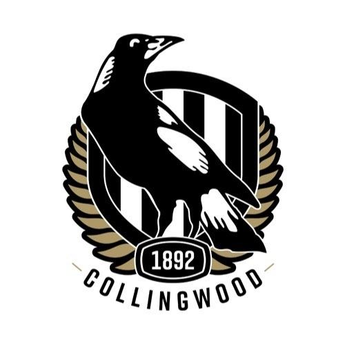Collingwood Football Club httpslh6googleusercontentcomFqc3LPcT8F4AAA