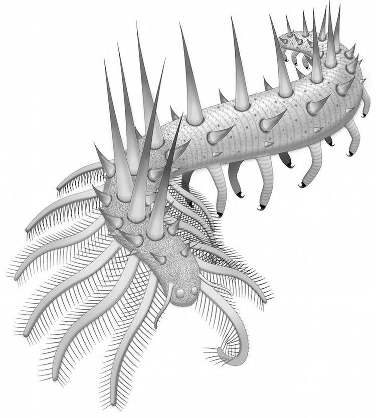 Collinsium Armored Spiky Worm Had 30 Legs Will Haunt Your Nightmares