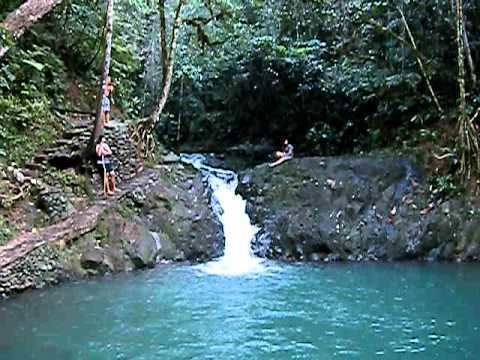 Colo-i-Suva Forest Reserve ColoISuva Forest Park YouTube