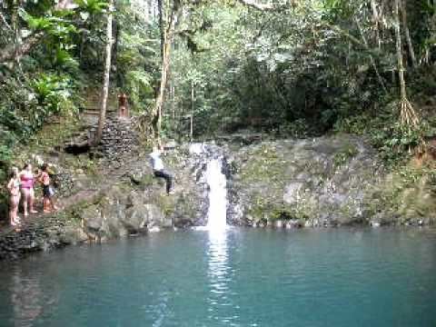 Colo-i-Suva Forest Reserve httpsiytimgcomviydg6syZSCxwhqdefaultjpg