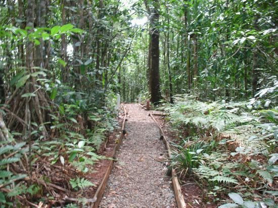 Colo-i-Suva Forest Reserve ColoISuva Forest Park Fiji Top Tips Before You Go TripAdvisor