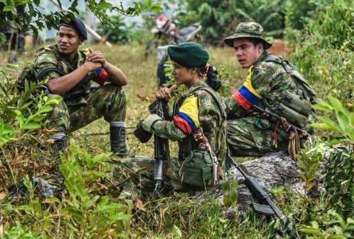 Colombian conflict FARC frog39 caught up in Colombian conflict