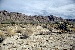 Colorado Desert httpsuploadwikimediaorgwikipediacommonsthu