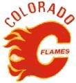 Colorado Flames httpsuploadwikimediaorgwikipediaenff6Col