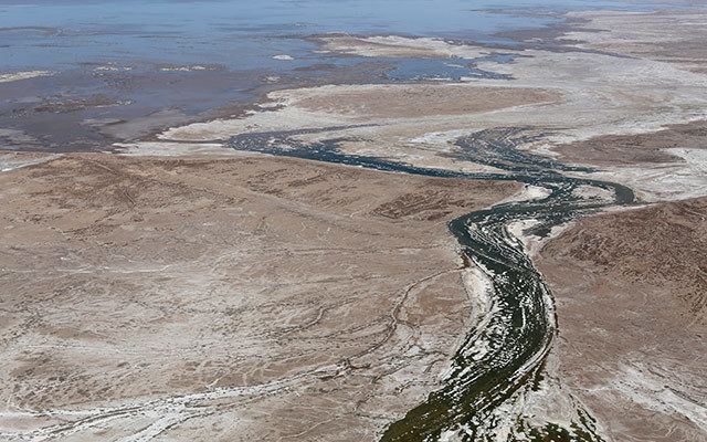 Colorado River Delta Colorado River Delta Pulse Flow Reaches the Sea The Nature