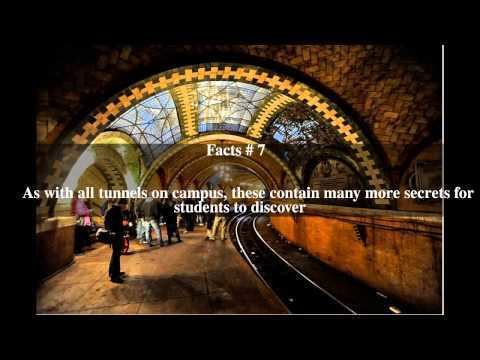 Columbia University tunnels Columbia University tunnels Top 17 Facts YouTube