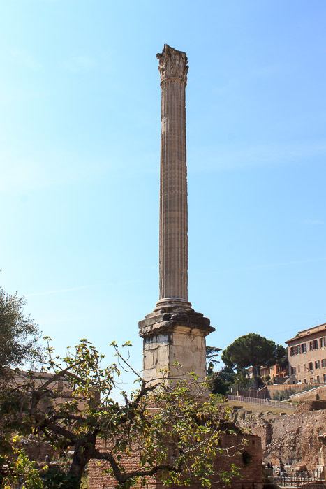 Column of Phocas Column of Phocas