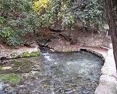 Comal Springs (Texas) httpsuploadwikimediaorgwikipediacommonsthu